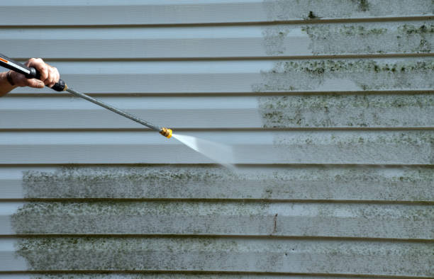Best Concrete Surface Cleaning in Holland, TX